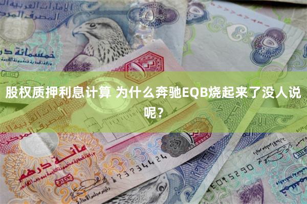 股权质押利息计算 为什么奔驰EQB烧起来了没人说呢？