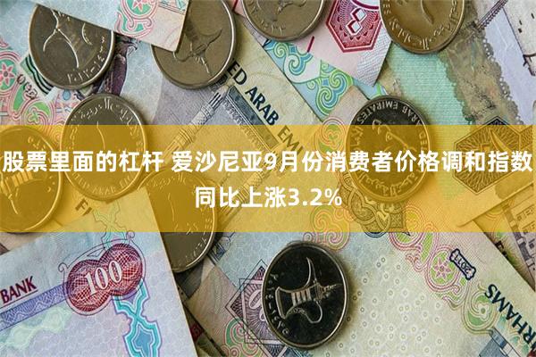 股票里面的杠杆 爱沙尼亚9月份消费者价格调和指数同比上涨3.2%