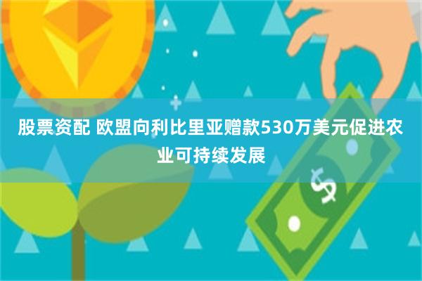 股票资配 欧盟向利比里亚赠款530万美元促进农业可持续发展