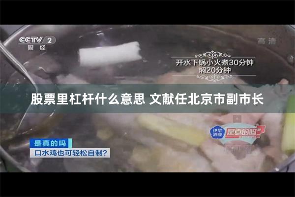 股票里杠杆什么意思 文献任北京市副市长