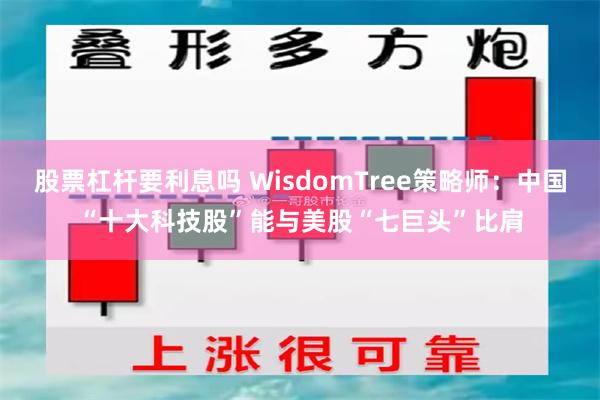 股票杠杆要利息吗 WisdomTree策略师：中国“十大科技股”能与美股“七巨头”比肩