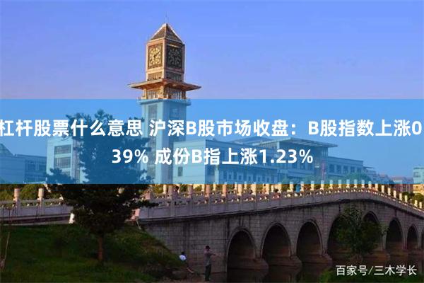 杠杆股票什么意思 沪深B股市场收盘：B股指数上涨0.39% 成份B指上涨1.23%