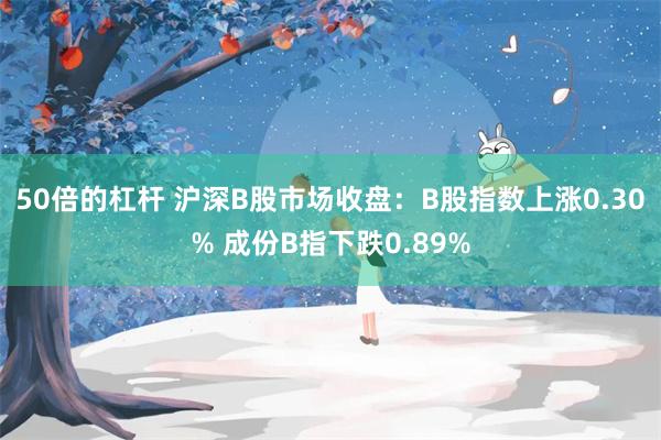 50倍的杠杆 沪深B股市场收盘：B股指数上涨0.30% 成份B指下跌0.89%